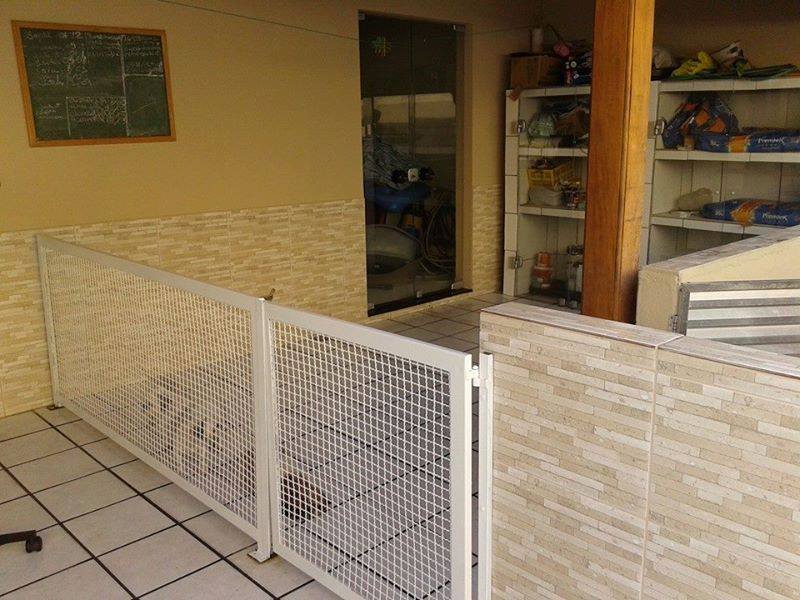 452167392_3322276488079239_2120936091393861484_n