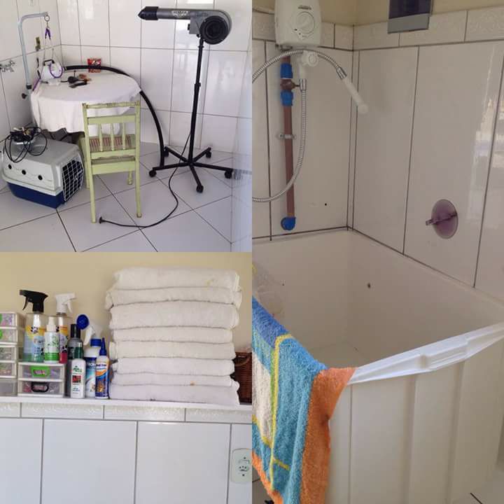 461280104_3373236989649855_5099713934682701510_n