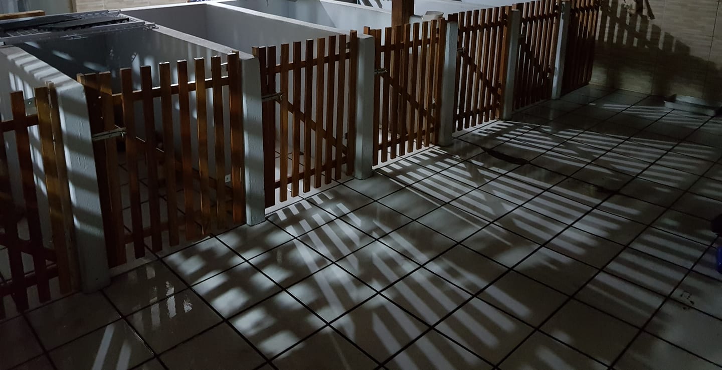 67201430_2078708405769393_3946017240607883264_n